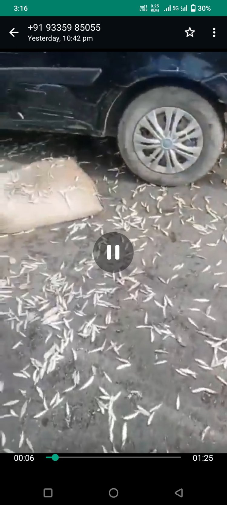 हुआ एक्सीडेंट वाहन से सड़क पर बिखरी मछलियां।*